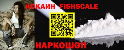 гидра Будённовск