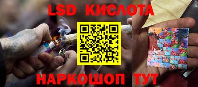 гидра Будённовск
