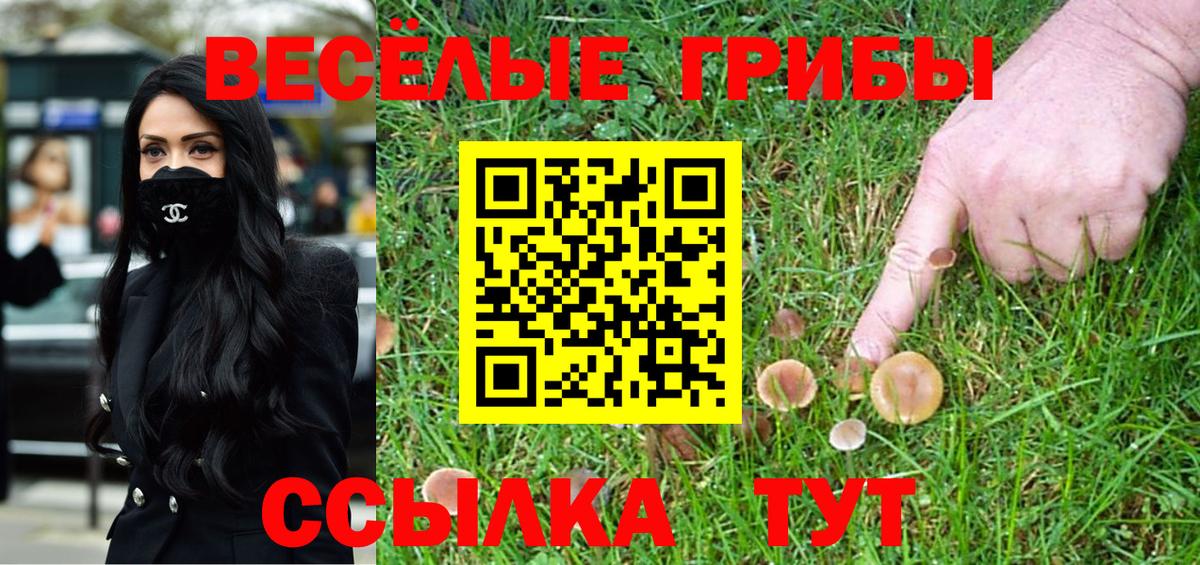 Псилоцибиновые грибы MAGIC MUSHROOMS Санкт-Петербург