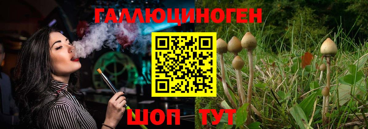 Псилоцибиновые грибы GOLDEN TEACHER  Псилоцибиновые грибы мицелий  Санкт-Петербург  Вход с VPN 