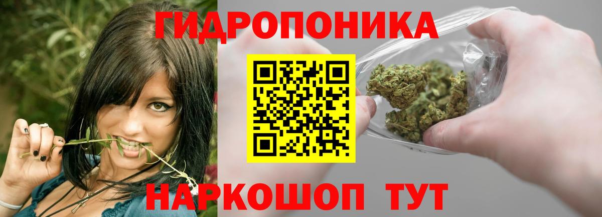 Каннабис MAZAR Санкт-Петербург
